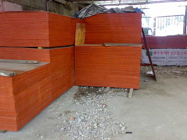 Dzϰ}5 c(din)ɷŴ
