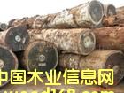 c鿴ľMϾP(gun)/ϾľĈP(gun)/ľM̵ԔY