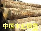c鿴ľM麣P(gun)/麣MľP(gun)/麣ľĈP(gun)еԔY