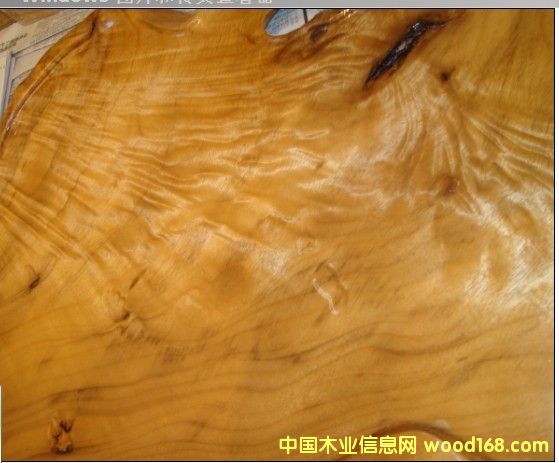 茶海的詳細(xì)介紹