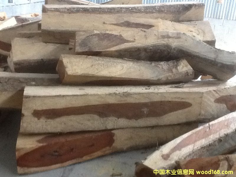 微凹黃檀 微凹黃檀