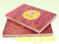 ߏ(qing)ľzϰ
