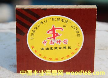 中檔橋梁模板 中檔橋梁模板