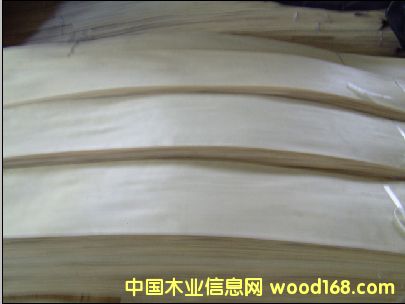 楓樺木皮 楓樺木皮