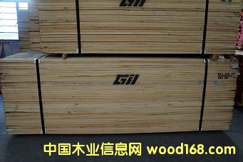 美國白蠟的詳細(xì)介紹