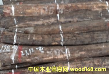 大葉紫檀的詳細(xì)介紹