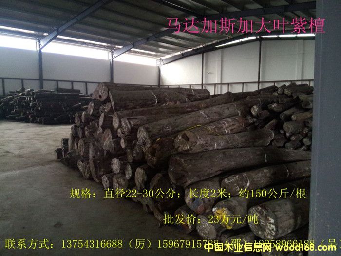 大葉紫檀的詳細(xì)介紹