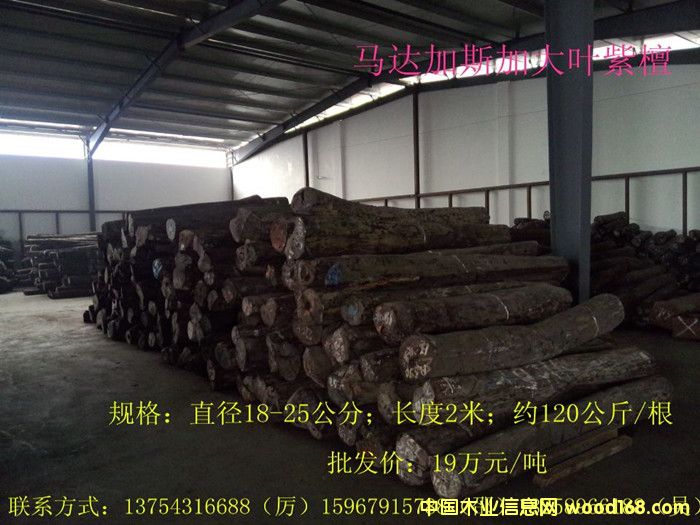 大葉紫檀的詳細(xì)介紹