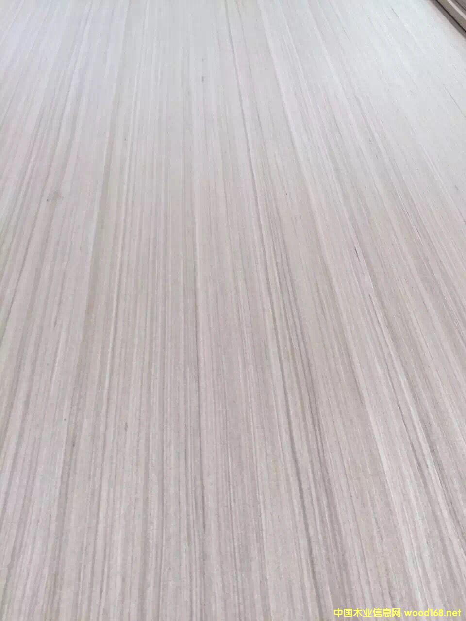 B(ti)18 ľ