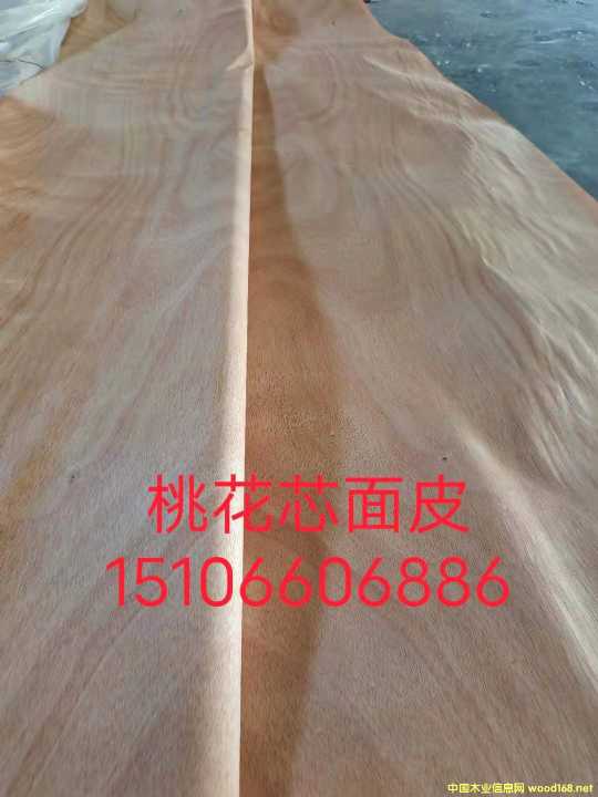 的詳細(xì)介紹